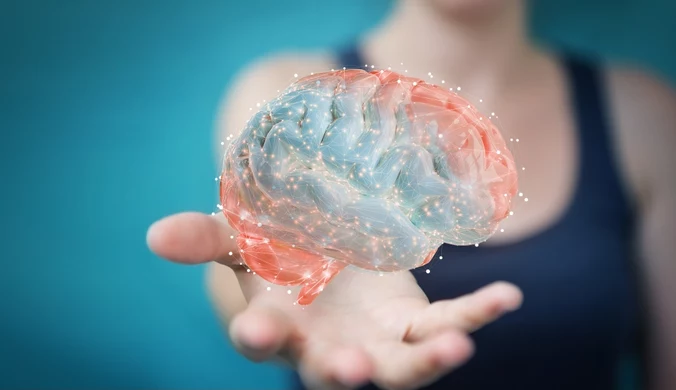 Nowe odkrycie może pomóc w opracowaniu terapii regeneracyjnych, które stymulują powstawanie nowych neuronów u osób cierpiących na choroby neurodegeneracyjne