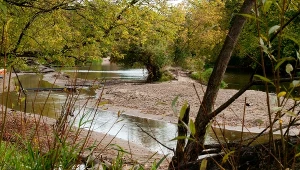 Świetna ścieżka spacerowa 30 minut od Warszawy. Las, rzeka i piaszczysta plaża 