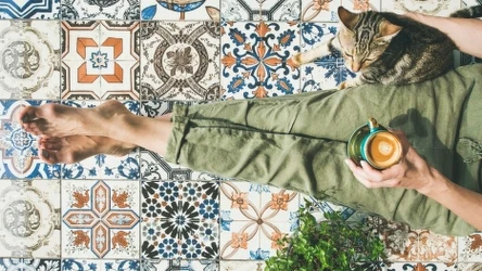 Przepiękne spodnie w Pepco! 