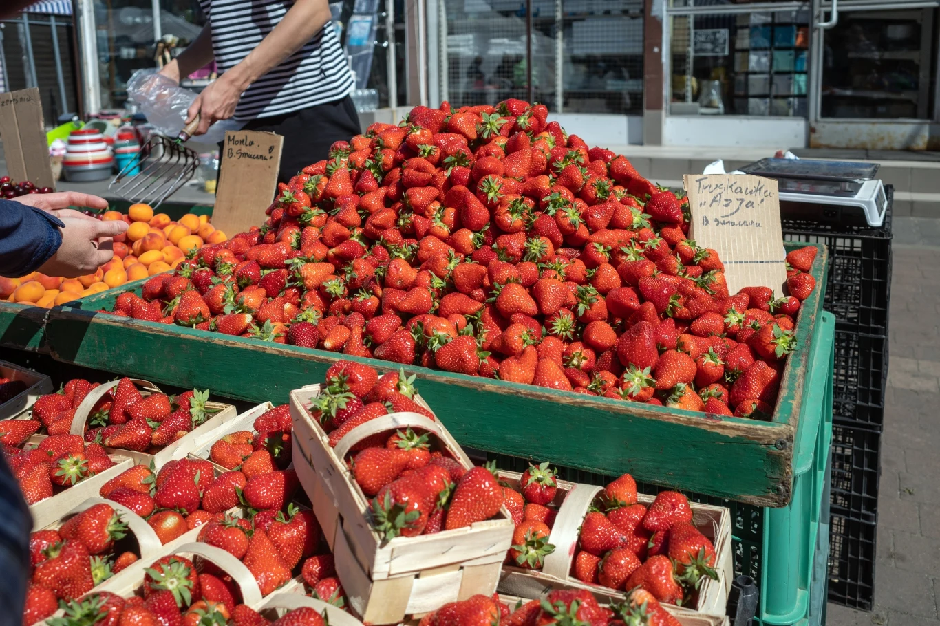 Ile kosztuje w tym roku kilogram truskawek? Ile kosztuje w tym roku kilogram truskawek?