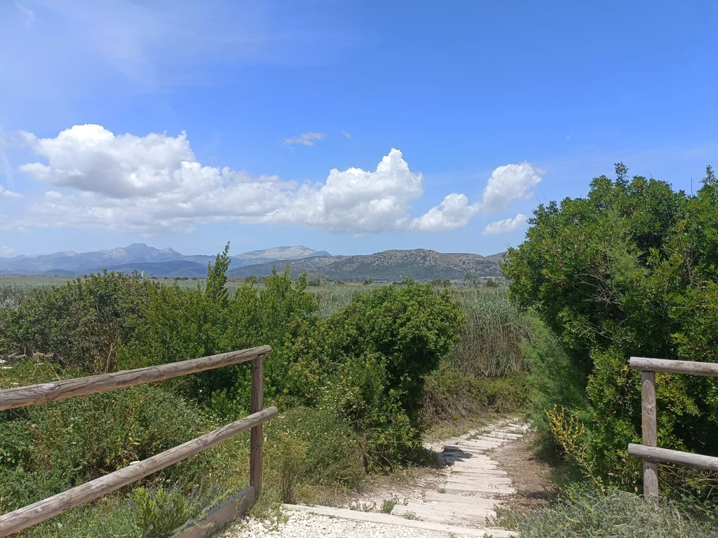 Rezerwat przyrody w Alcudii