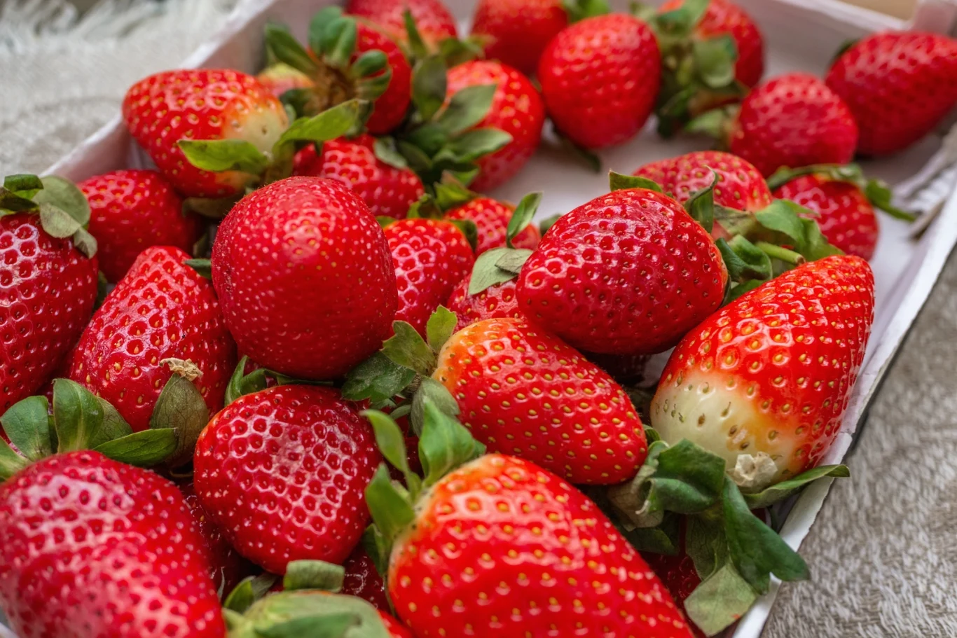 Czy szypułki truskawek są jadalne? Czy szypułki truskawek są jadalne?