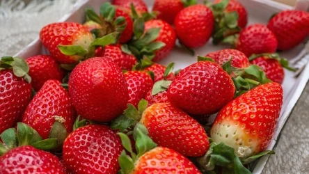 Czy szypułki truskawek są jadalne?