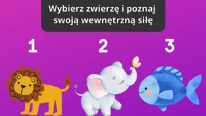 Nie myśl zbyt długo nad odpowiedzią. Zaufaj intuicji