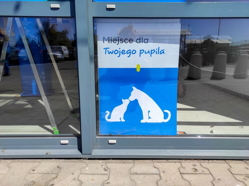 Czy można wejść z psem do sklepu?