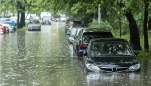 Jak rozpoznać samochód po zalaniu? Uważaj na okazyjne oferty sprzedaży