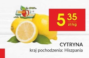 Cytryna niska cena