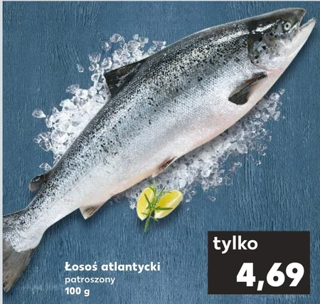 Łosoś