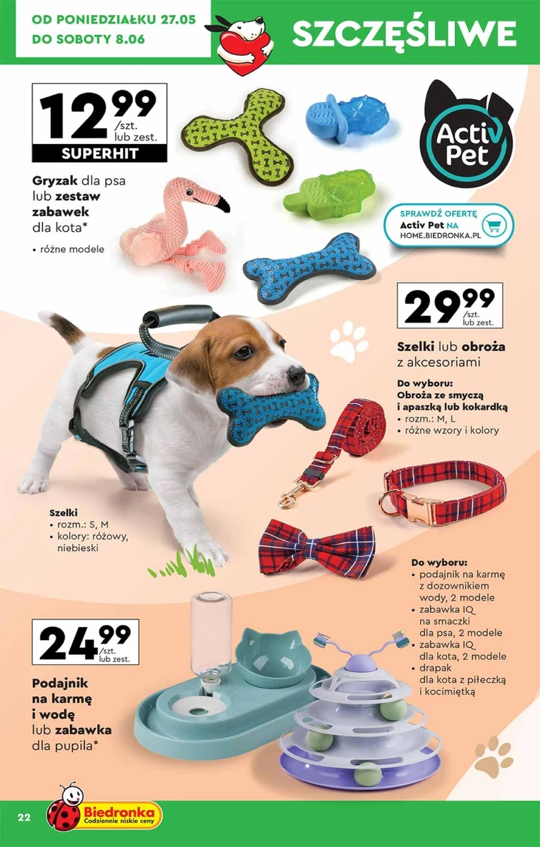 leaflet page preview image