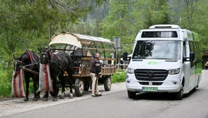 Weterynarz przeciwny likwidacji konnego transportu nad Morskie Oko