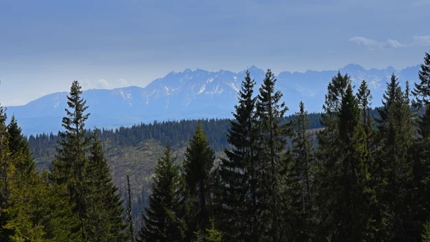 Polskie góry są piękne. Co o nich wiesz? Mało kto zna każdą odpowiedź