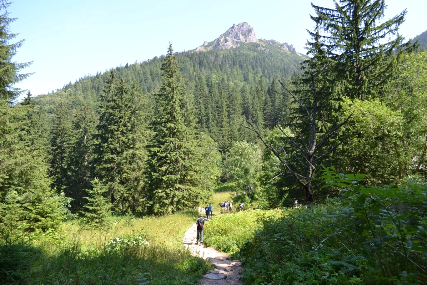 Nie tylko szczyt Sarniej Skały oferuje malownicze widoki. Już podczas trasy zdecydowanie jest co podziwiać. 