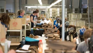 W 2023 r. otwarto fabrykę butów w Pasewalku. Wśród zatrudnionych jest wielu Polaków (zdj. ilustracyjne)