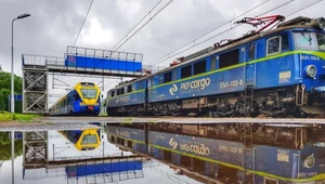 PKP Cargo pokazało wyniki za 2024 r.