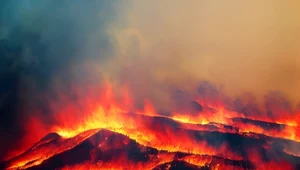 Pożar niedaleko stolicy Brazylii. Żywioł strawił 20 proc. bezcennego lasu