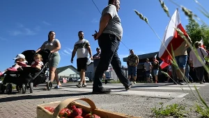 Strajk plantatorów truskawek w Opolu Lubelskim