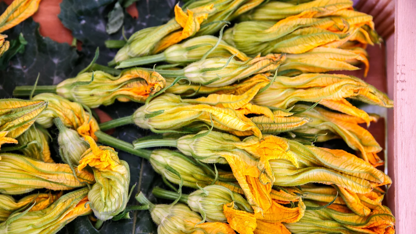 Kwiaty cukinii można zamrozić.