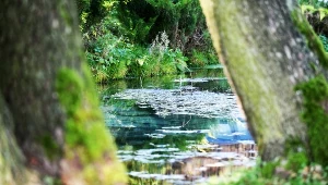 Lazurowe źródełko i miejsce na piknik. Tylko 30 minut od Krakowa