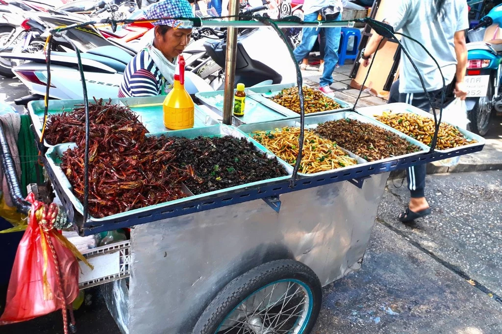 Stragany ze smażonymi owadami to dość popularny widok w turystycznych dzielnicach Bangkoku 