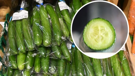 Dlaczego ogórki sprzedaje się w folii? | Fot. 123RF/Picsel