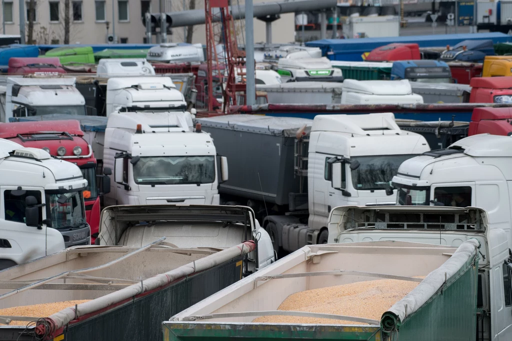 Czy kierowcy zawodowi powinni mieć prawo do wcześniej emerytury?