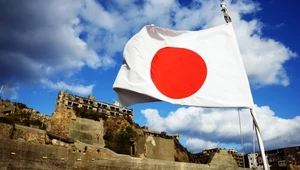 Afera w Japonii. Politycy chcą decydować, jakie anime i gry są "właściwe"