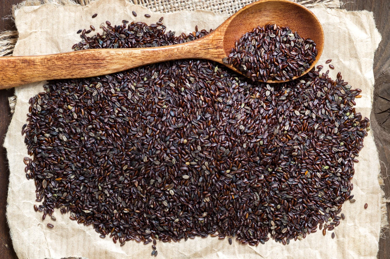 Babka płesznik to źródło dużej dawki błonnika pokarmowego Babka płesznik to źródło dużej dawki błonnika pokarmowego