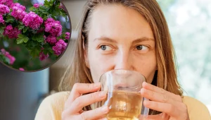 Nie przegap sezonu. Zbierz kwiaty i zaparz z nich herbatkę na dobry sen