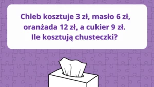 Zestaw zagadek odprężających umysł. Czy uda ci się poprawnie rozwiązać wszystkie ćwiczenia?