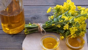 Już zaledwie dwie łyżki oleju rzepakowego pokrywają dzienne zapotrzebowanie dorosłej osoby na kwasy ALA z rodziny omega-3