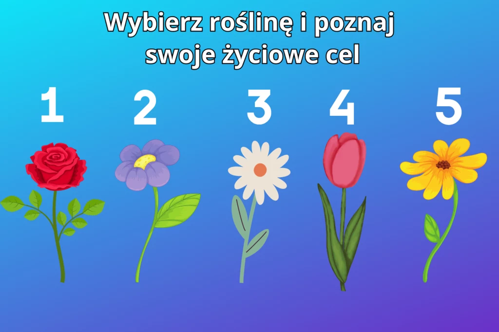 Nie myśl zbyt długo nad odpowiedzią, zaufaj intuicji