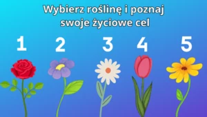 Psychotest: Wybierz roślinę i poznaj swoje życiowe cele