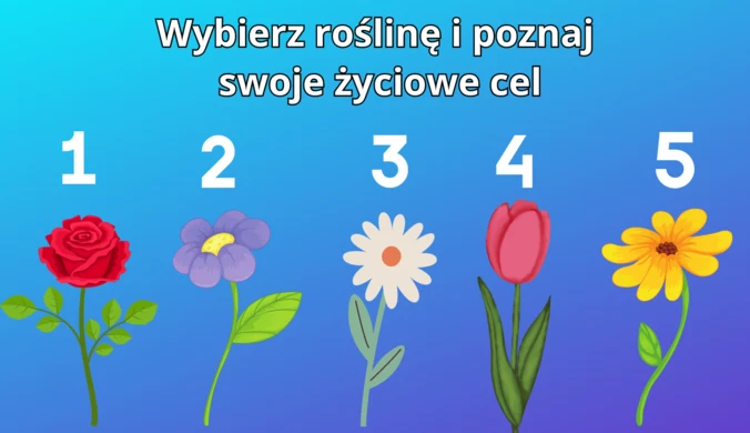 Nie myśl zbyt długo nad odpowiedzią, zaufaj intuicji