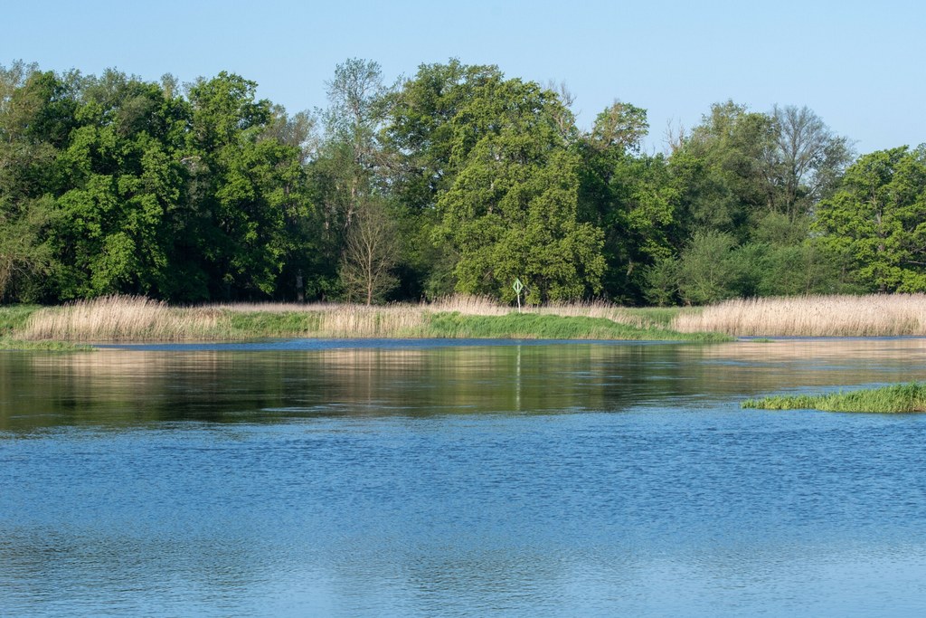 Resort klimatu poinformował, że tworzy systemowe rozwiązania dla poprawy jakości wody w Odrze i Kanale Gliwickim.