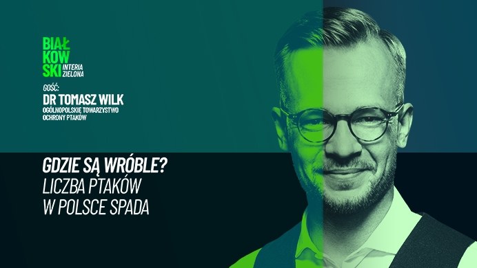 Gdzie się podziały wszystkie wróble? Odpowiadamy w podcaście Przemysława Białkowskiego