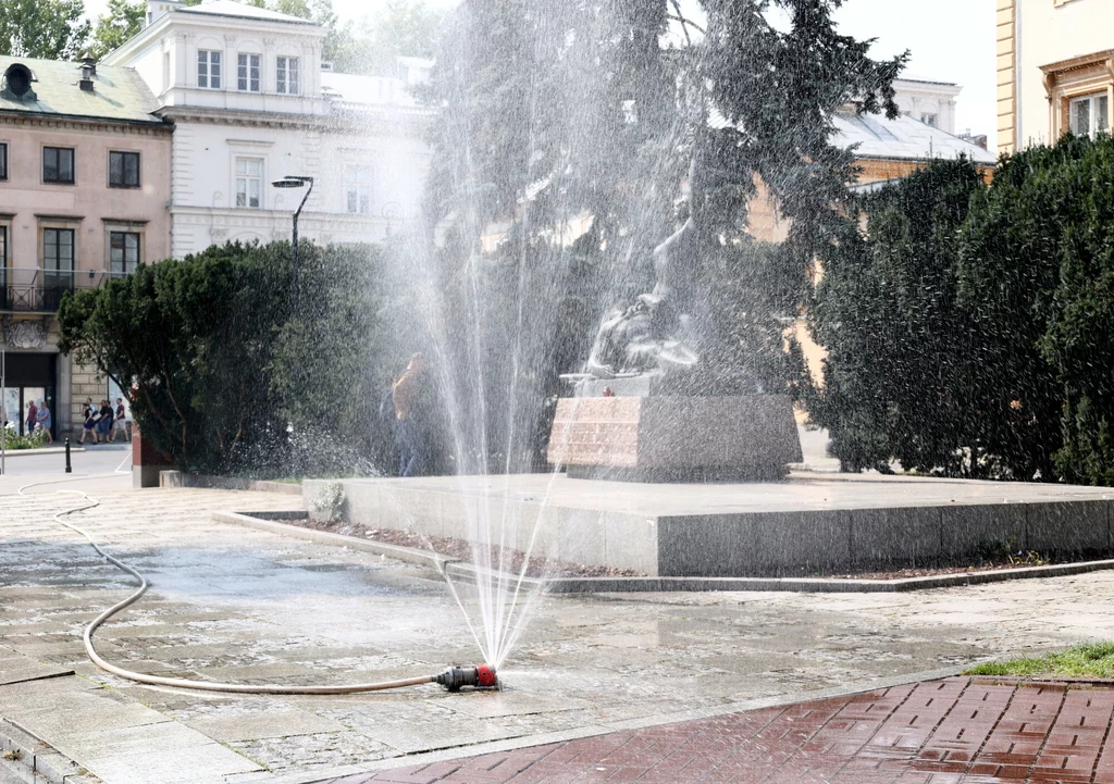 Zdaniem klimatologów analizujących pogodę na całym świecie, "rok 2024 będzie najcieplejszym rokiem w historii pomiarów meteorologicznych".   