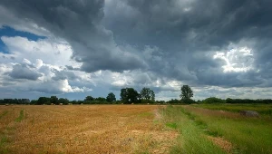 Boże Ciało i Dzień Dziecka w cieniu burz. Pogoda nie zachwyci