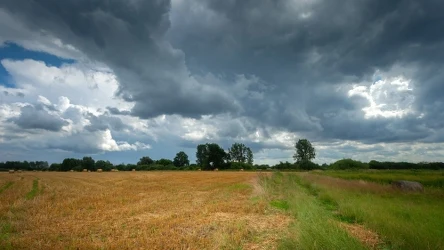 Pogoda na Boże Ciało oraz na Dzień Dziecka nie zdąży się poprawić. W praktycznie całej Polsce trzeba się liczyć z burzami, ulewami i silnym wiatrem - wynika z prognoz IMGW