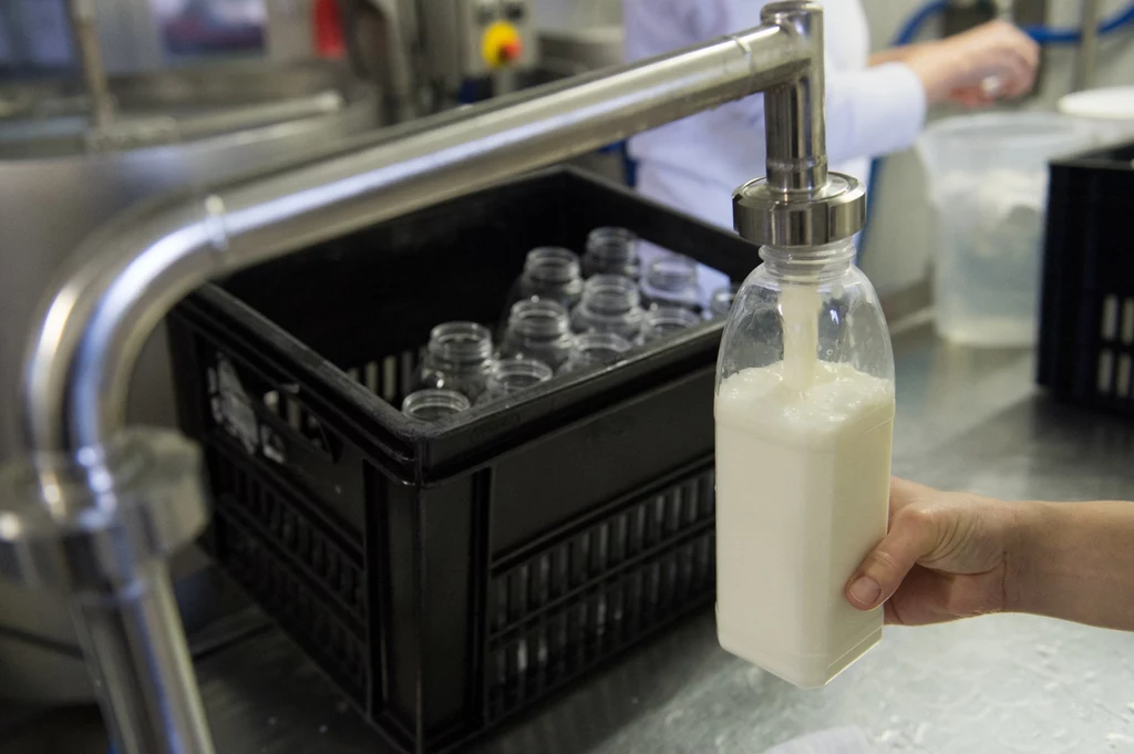 Niemiecka spółka mleczarska DMK Deutsches Milchkontor chce przejąć polską firmę Mlekoma Dairy 