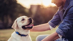 Ta sama karma dla psa i jego pana - czy to przyszłość rynku pet food?