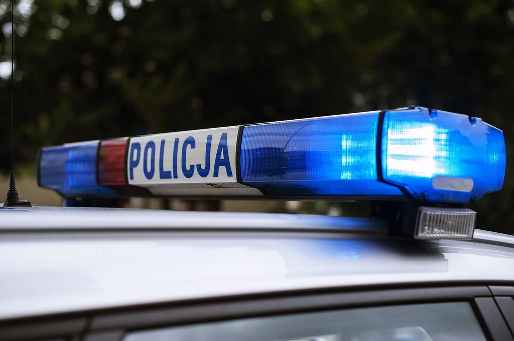 Wypadek w Kargowej. Są ofiary Wypadek w Kargowej. Są ofiary