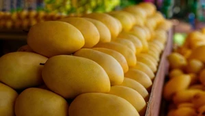 Asfalt pachnący mango? Mieszkańcy miasta są przez to wściekli