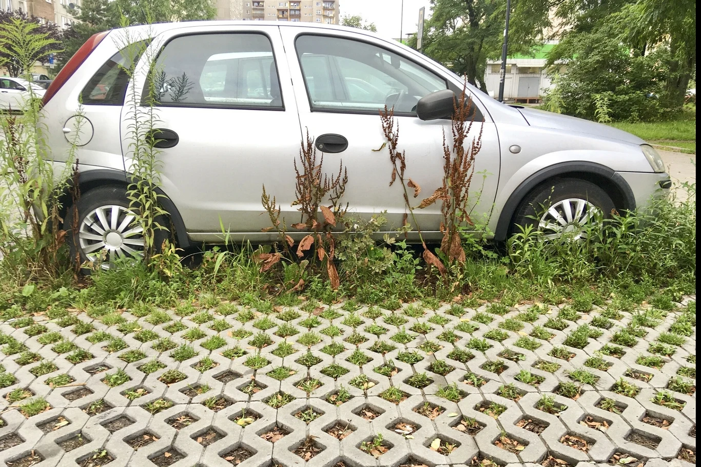 Ze wstępnych kalkulacji wynika, że planowane wygaszenie decyzji o rejestracji obejmie ponad 7 mln pojazdów