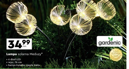 Lampa solarna Gardenic