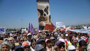 Wielkie protesty w Turcji. Władze chcą wydać wyrok na miliony psów