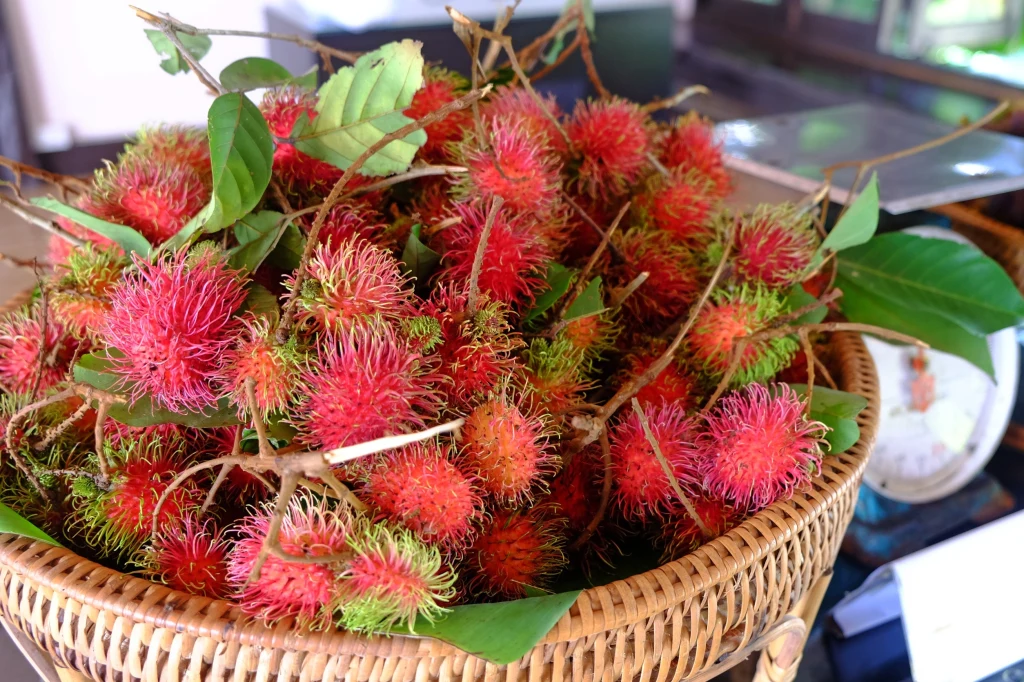 Rambutan to owoc, który przyciąga już samym wyglądem. A jak jego spożywanie wpływa na organizm? Sprawdzamy