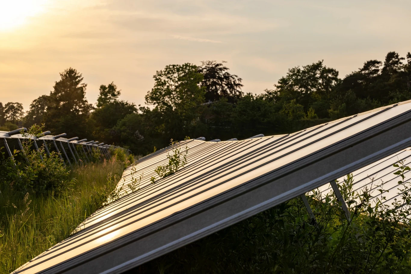 W Walencji farmy fotowoltaiczne powstają na cmentarzach. To część projektu klimatycznego miasta W Walencji farmy fotowoltaiczne powstają na cmentarzach. To część projektu klimatycznego miasta