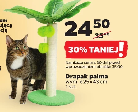 Drapak dla kota Palma