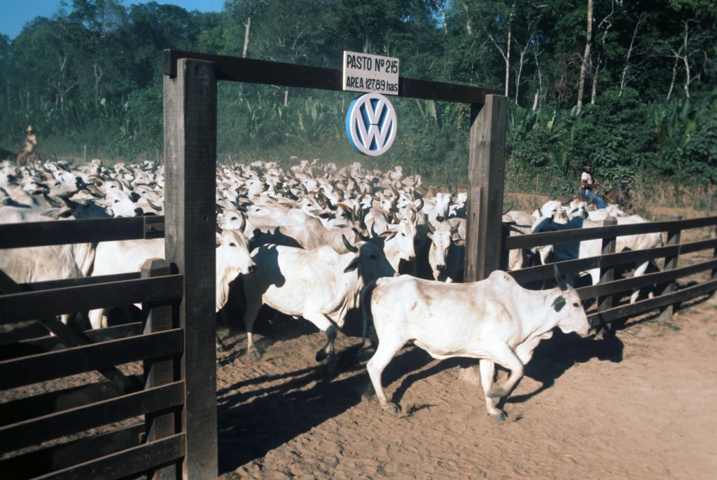 Produkcja wołowiny to istotna część brazylijskiej gospodarki. Na zdj. jedna z brazylijskich farm Produkcja wołowiny to istotna część brazylijskiej gospodarki. Na zdj. jedna z brazylijskich farm