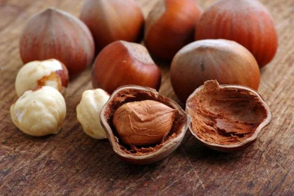 Orzechy laskowe zawierają cenne pierwiastki oraz witaminę E, która korzystnie wpływa na skórę Orzechy laskowe zawierają cenne pierwiastki oraz witaminę E, która korzystnie wpływa na skórę